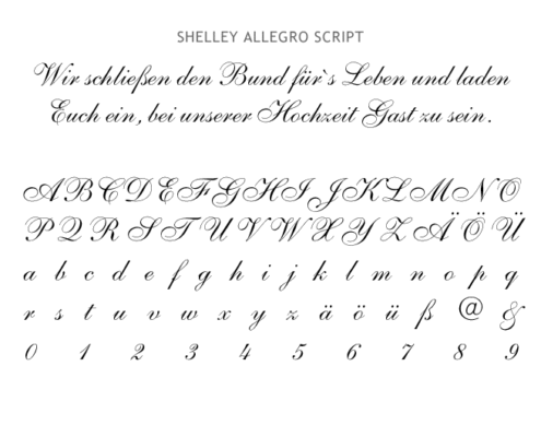 Schriftmuster: Schreibschrift 3 Shelley Allegro