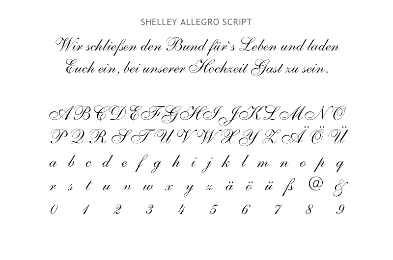 Schriftmuster: Schreibschrift 3 Shelley Allegro